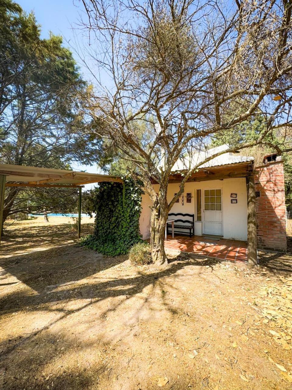 Chawasi Cabanas Campo Quijano エクステリア 写真
